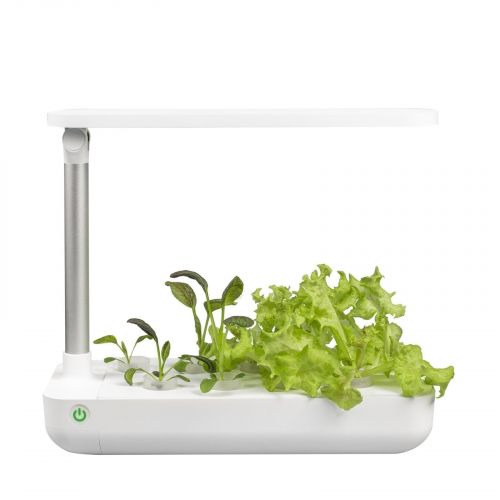 VegeBox Table Greens Front