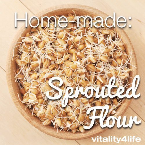 How to Sprout Grains & Make Sprouted Flour