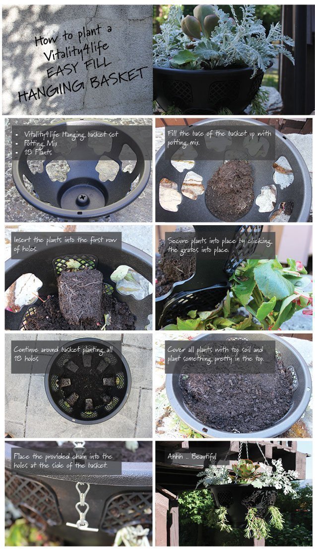 How to plant out your hanging basket
