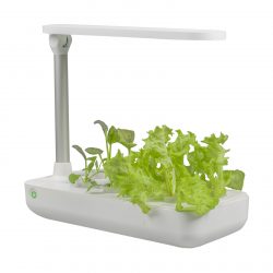 vegebox, home, indoor garden, hydroponic, home hydroponic, microgreens