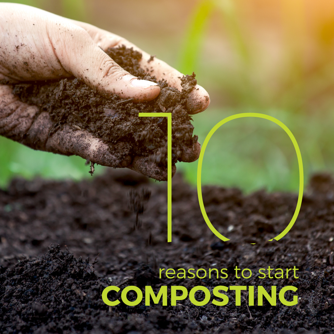 Top 10 Benefits of Composting
