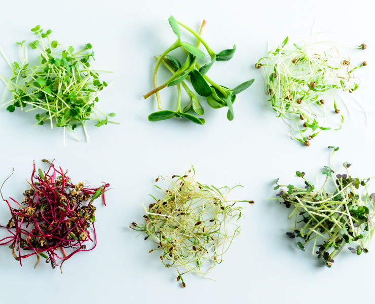 Microgreens - does size really matter?