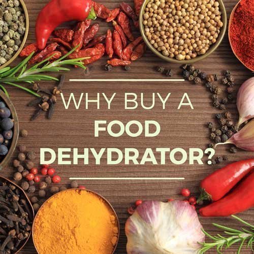 Why Buy a Food Dehydrator?